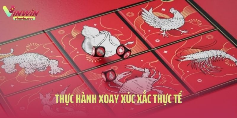 Thực hành xoay xúc xắc thực tế