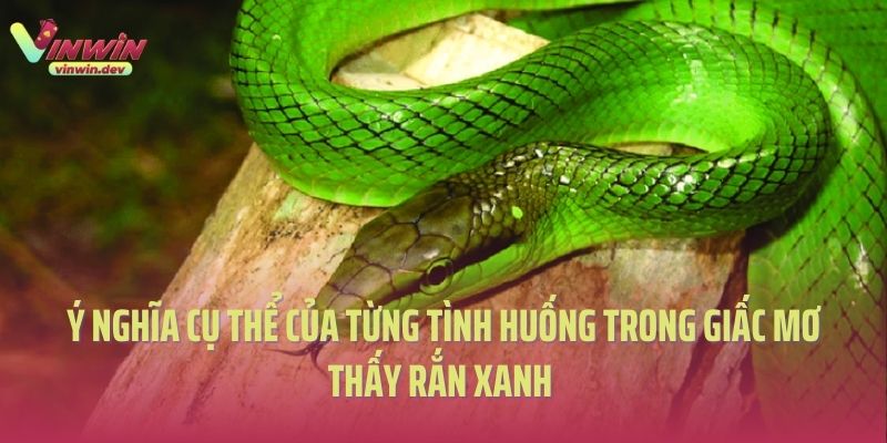 Ý nghĩa cụ thể của từng tình huống trong giấc mơ thấy rắn xanh 