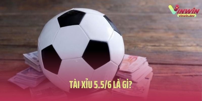 Tài Xỉu 5.5/6 Là Gì? Hướng Dẫn Cách Đọc Kèo Chuẩn Nhất 2025