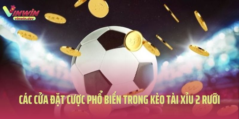 Các cửa cược phổ biến