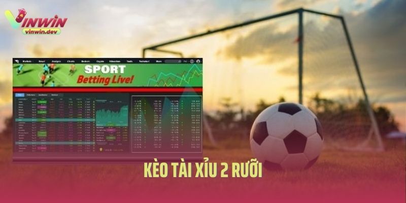 Kèo tài xỉu 2 rưỡi
